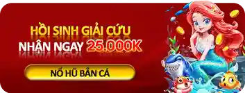 Ưu đãi hấp dẫn và khuyến mãi mỗi ngày